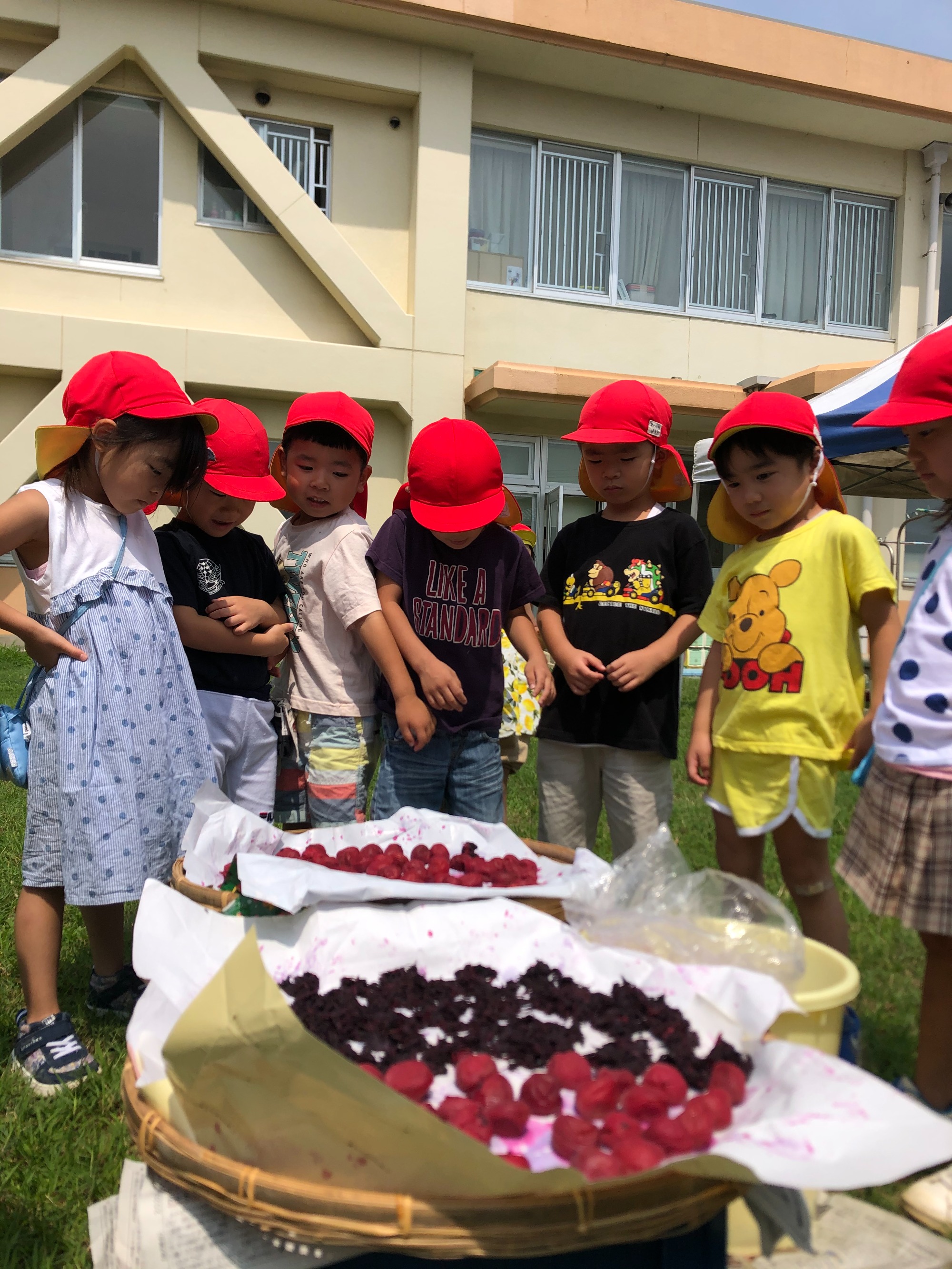 食育活動