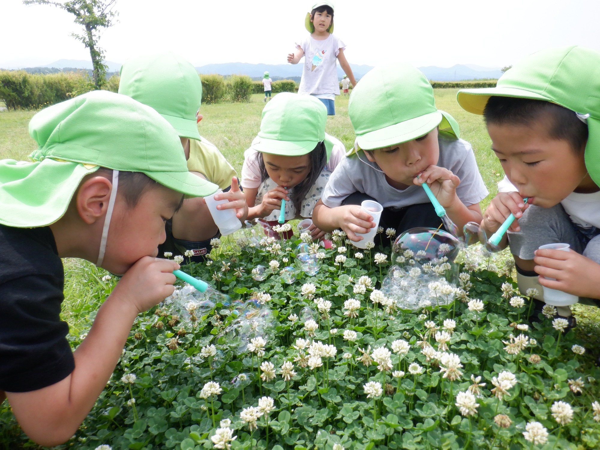 自然からの学び・発見